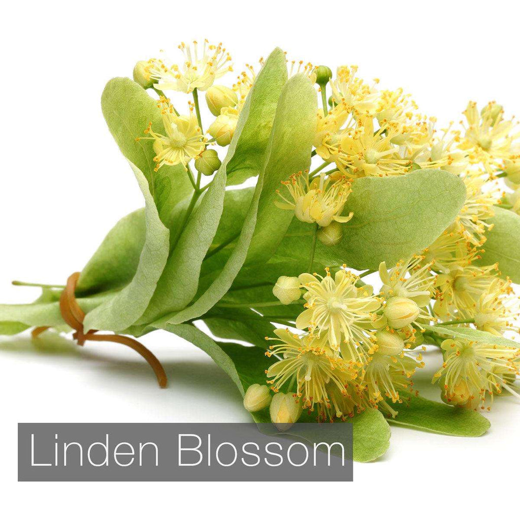 Parfum Linden Blossom (floare de tei) - shoplumanari.ro
