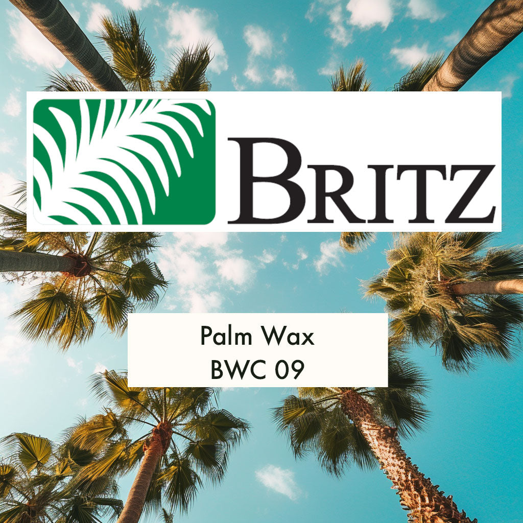 Ceară palmier BWC09 (matriță) - Efect de îngheț