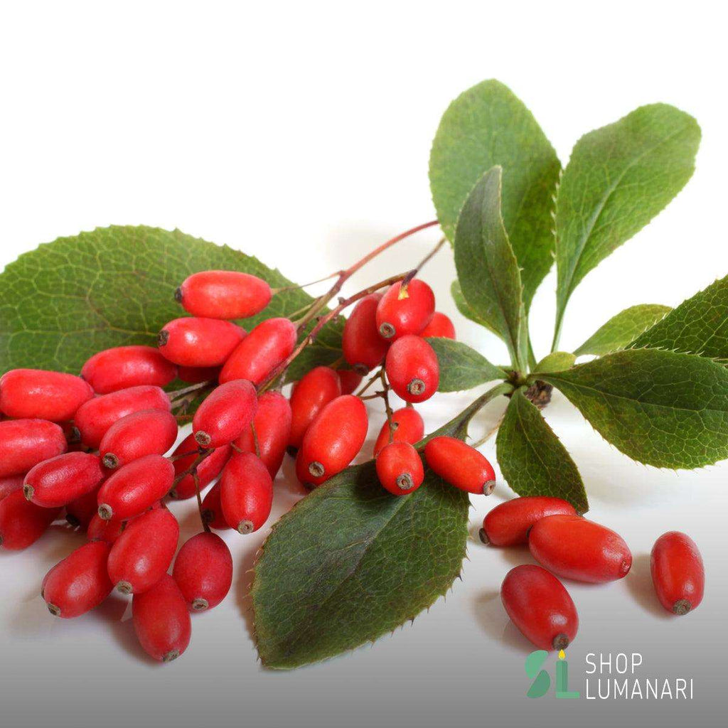 Parfum Barberry (Agrisa) - shoplumanari.ro