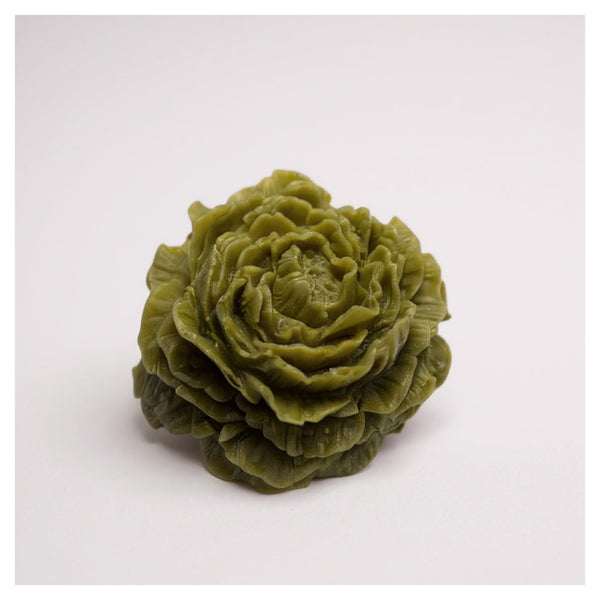 Colorant Lichid Verde măsliniu - 10g