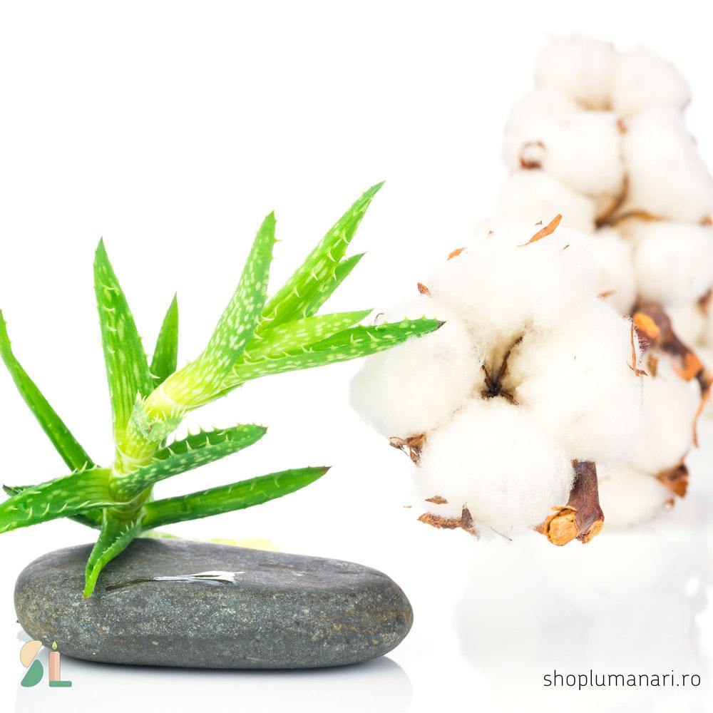 Parfum Fresh Cotton and Aloe - shoplumanari.ro