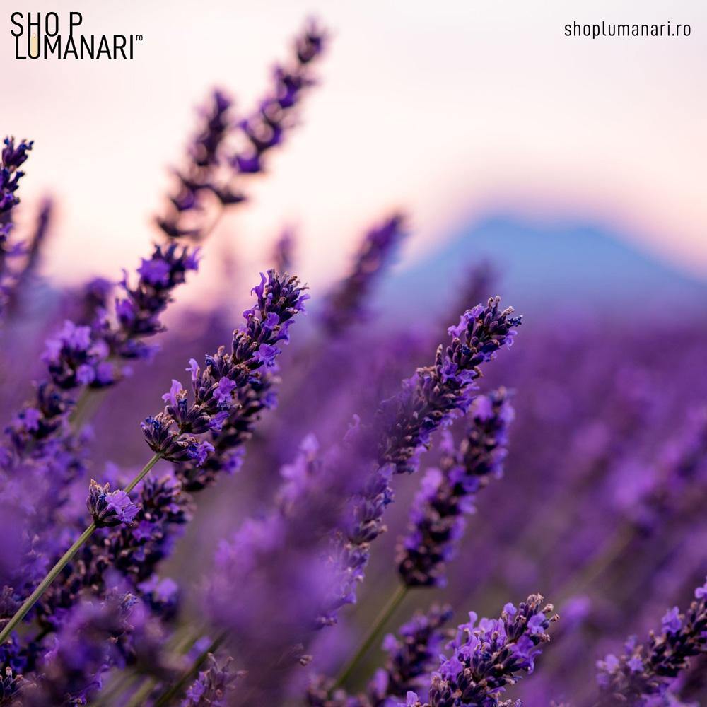 Parfum Lavender - shoplumanari.ro